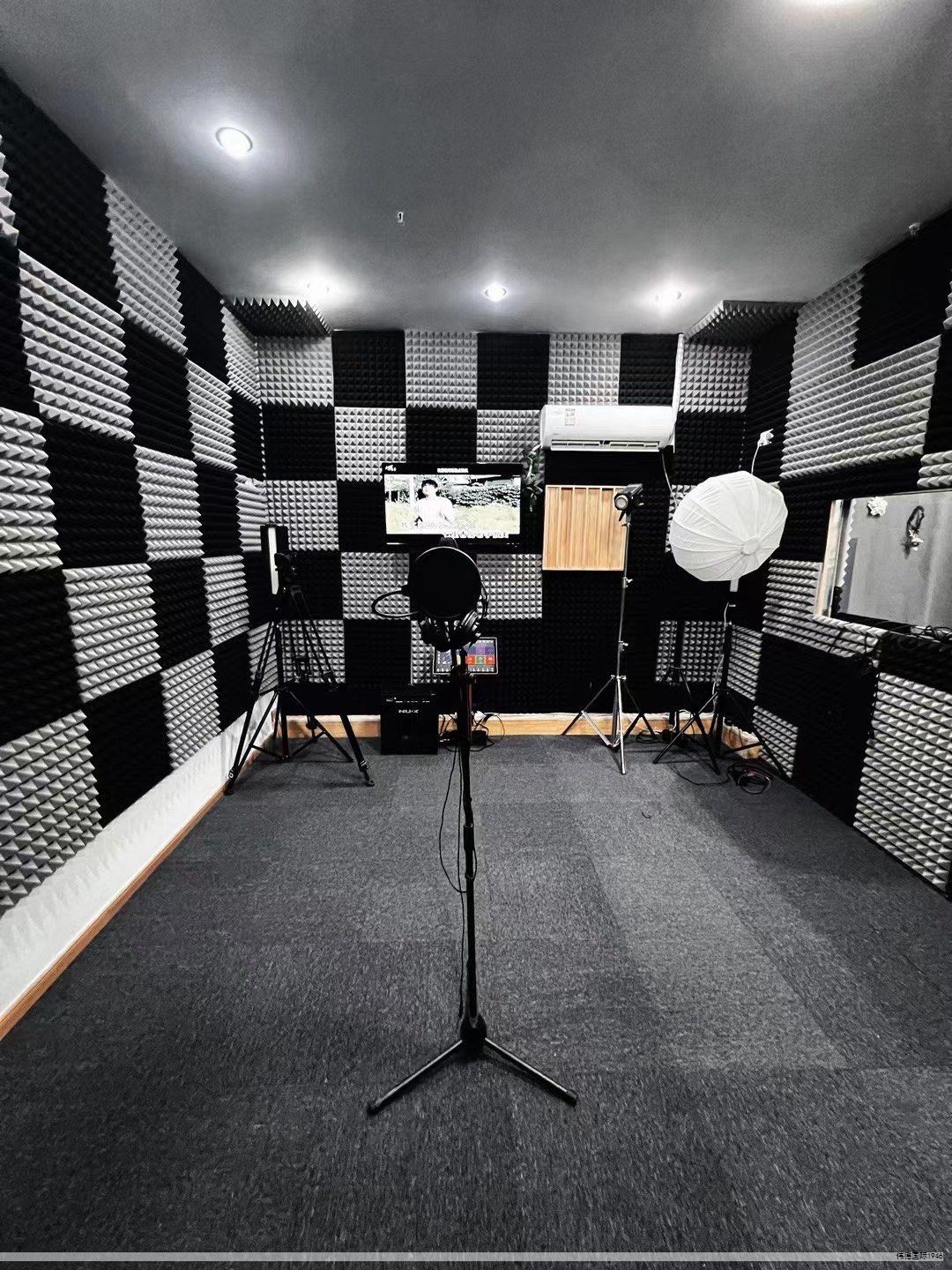 等离子体是一种全部或部分电离的气体态物质，组成十分复杂。其粒子类型繁多且性质各异，对材料表面的反应以电子为主，其次是亚稳态粒子，具有强烈的化学活性。